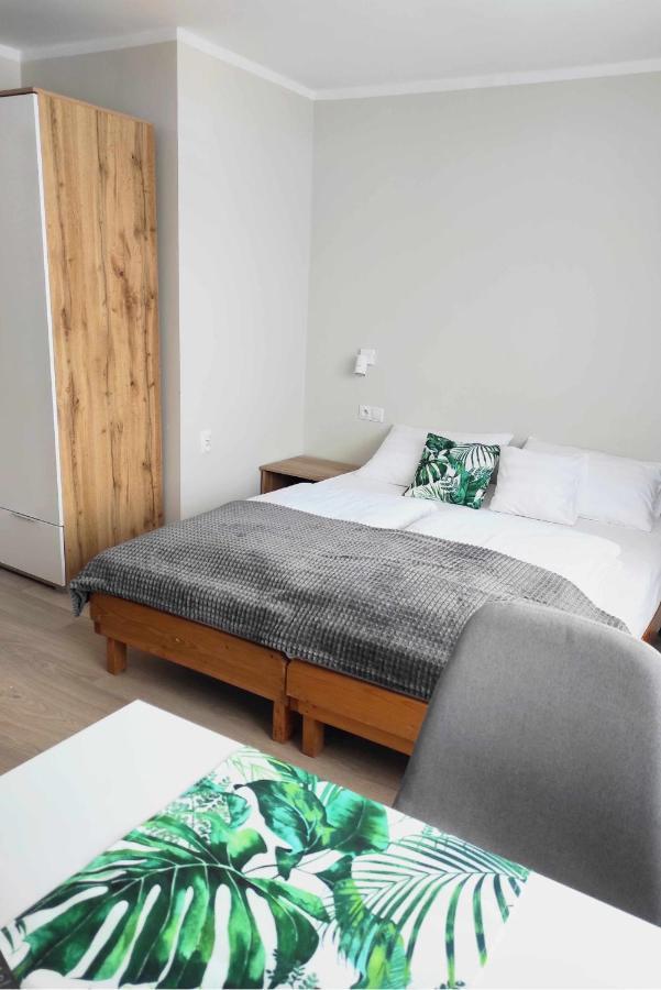 Apartamenty Maciata Bialy Dunajec Luaran gambar